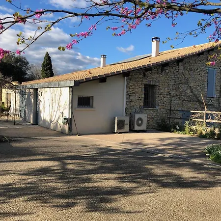 Des Oliviers Nîmes