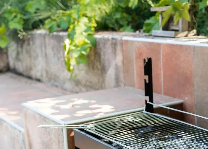 Des Oliviers ニーム