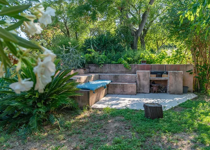 Des Oliviers * Nîmes